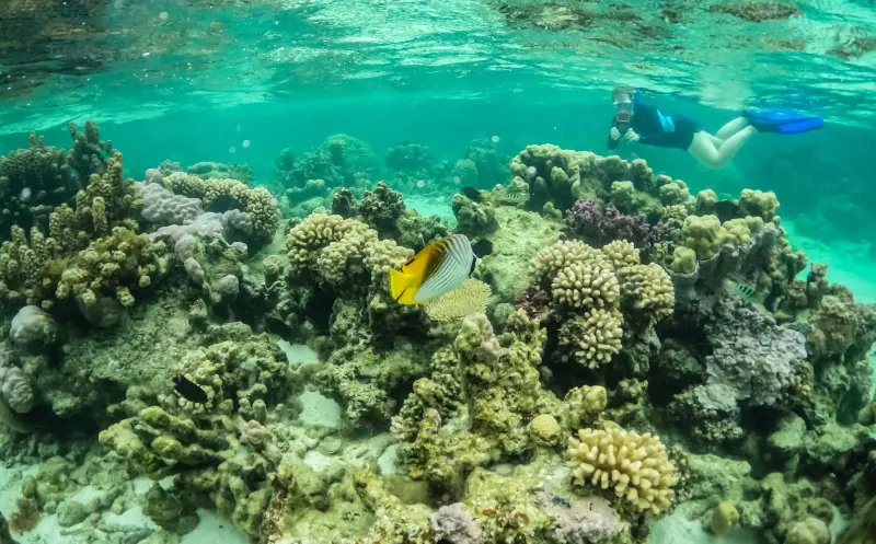 Explore the pristine lagoons and landscapes of the South Pacific with Windstar