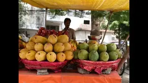 Spice of Life: Why mango flavour belongs forever to home, childhood