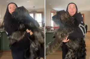 Woman Thinks She Adopted Doodle Puppy—Months Later Truth Becomes Clear