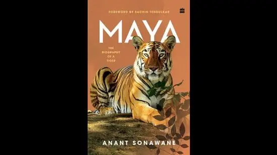 190pp, ₹699; Harper Collins