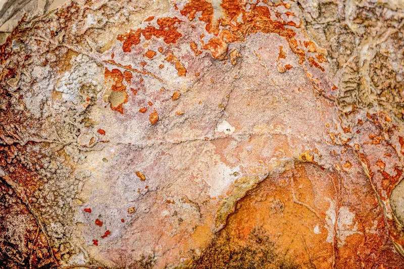 Detailed close-up of a natural rock surface showcasing vibrant colors and unique textures.