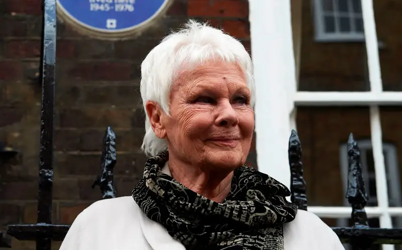 Dench’s gravitas emerges in the book when she talks about acting - AFP/Getty Images/Niklas Halle'n