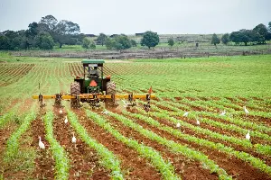 Earth Talk: Agriculture