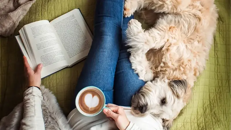 Overhead view of woman's torso on a bed with a book, coffee and a dog.