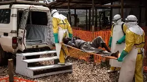 Ebola virus outbreak declared health emergency by WHO; 80 dead, no vaccine for current strain: What we know