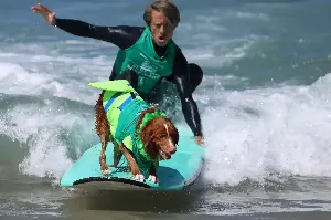 Experts share the best ways to help your dog live longer
