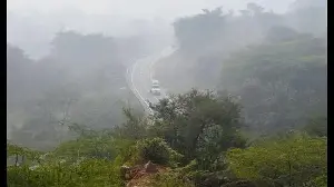 Centre plans native plantations in Gurugram’s Aravalli ranges