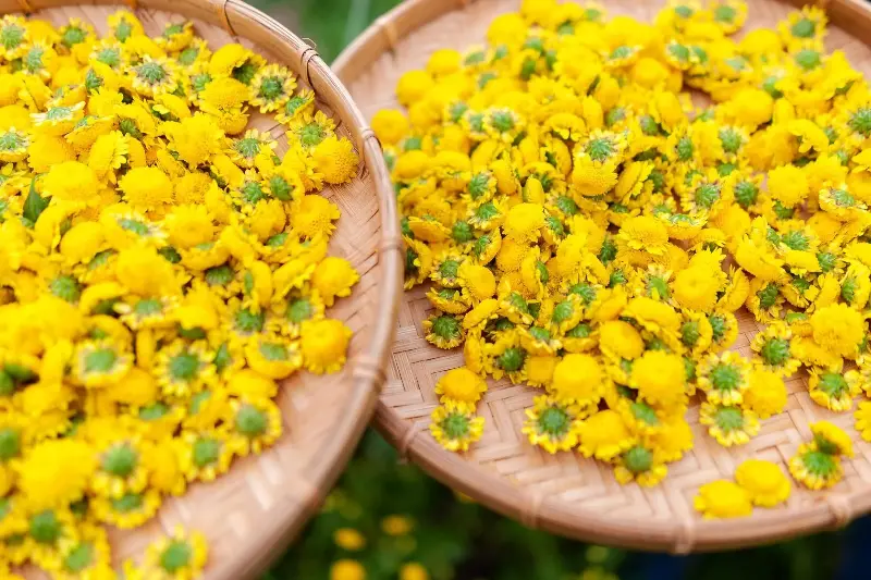 5 công thức trà với cỏ ngọt - Ảnh 4.