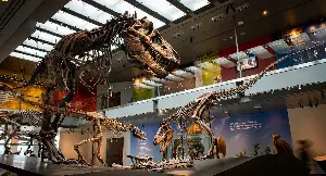New evidence shows that you are only slightly hotter than a T. rex