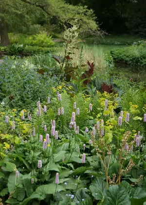 All the Best Gardens Right Now Look 'Overgrown' — Here's How to Get the Full, Wild Aesthetic, Without Things Looking Messy