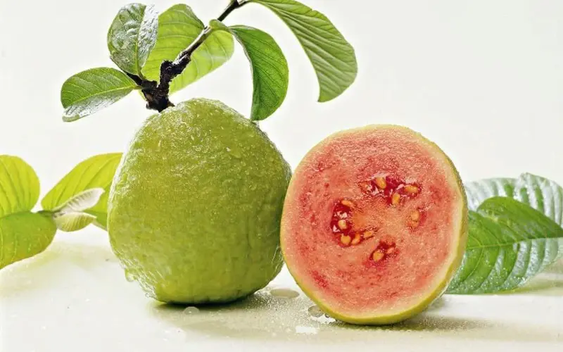 5 juice recipes to boost vitamins and collagen - Image 2.