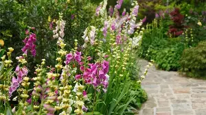 Welcome the First Day of Spring with 3 Easy Garden Tasks – Do Them This Weekend to Fast-Track Your Flower Beds