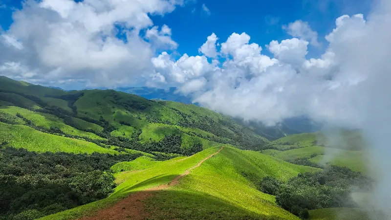 Camp amidst misty hills and lush coffee plantations in Chikmagalur.