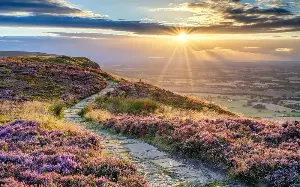 Hockney was right – Yorkshire is by far Britain’s loveliest region