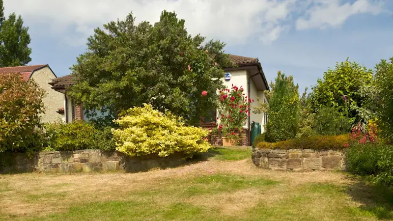 Parched lawn through lack of rain, England PR