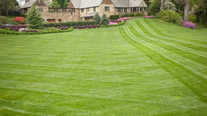 Luxury Home or House with Large Front Yard