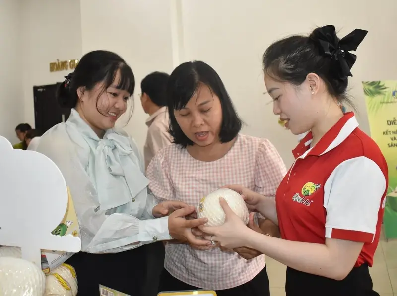 Ngành dừa Việt Nam chuyển từ mở rộng diện tích sang quản trị dữ liệu vùng nguyên liệu nhằm minh bạch sản xuất, tăng truy xuất và nâng sức cạnh tranh. Ảnh: Minh Đảm.