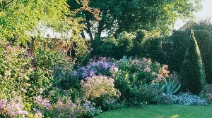 Don’t Waste Your Seeds – My Soil Thermometer Says the Ground Is Still Too Cold to Sow Them