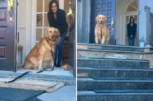 Golden Retriever Refuses To Leave Grandma—Then Family Gets Devastating News