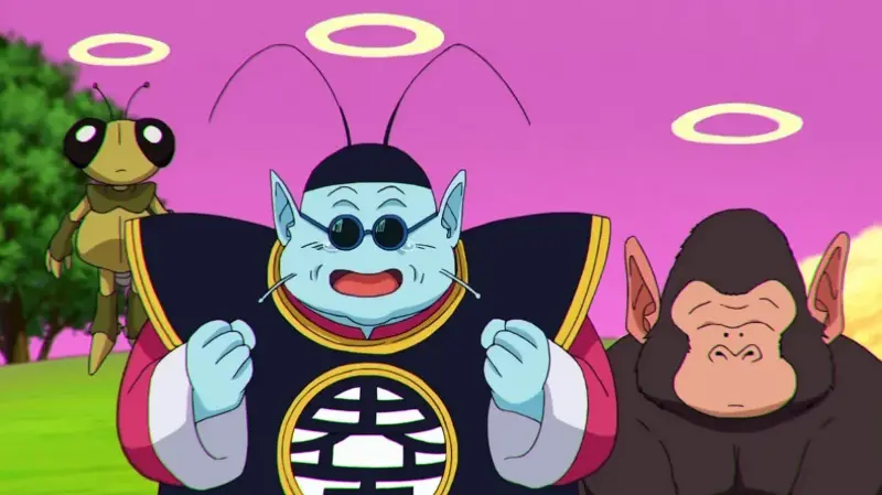 kaio de norte