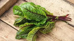 Winter vs Summer Greens: How Seasonal Eating Changes In India