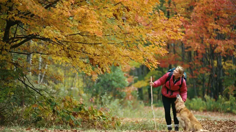 WOMAN HIKING WITH GOLDEN RETRIEVER, MAINE