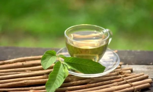 Should you drink guava leaf tea every day? Safe and effective ways to prepare it - Image 2.