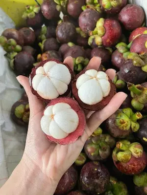 What happens to the body when you eat mangosteen regularly?