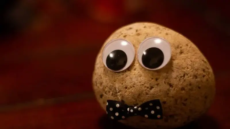 Photo of pet rock with googly eyes
