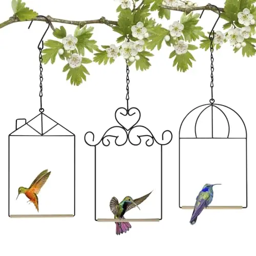 Xyadx Metal Frame Hummingbird Swings and Perches With Wooden Dowel Black Bird Swing Outdoor Bird Perch Humming Bird Swing (3pk Different)