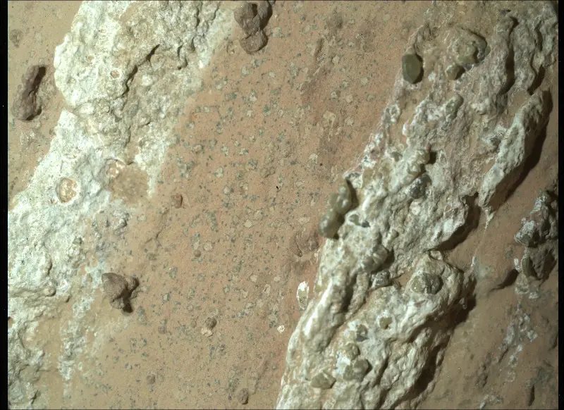 An image of the Cheyava Falls rock. NASA's Perseverance rover discovered 