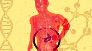 Gastroenterologist Dr Kalayarasan Raja warns ‘silent liver disease’ is rising in young adults; know causes and signs