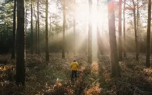 The 10 best walks in Norfolk