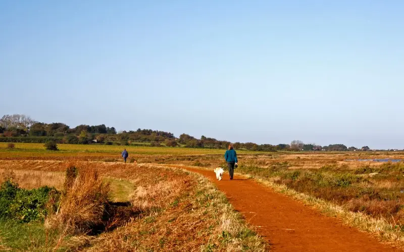 Reddish-brown, sandy paths along the Norfolk Coast Path near Blakeney - Alamy/Jim Laws