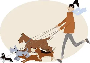 Choosing a dog day care and dog walker