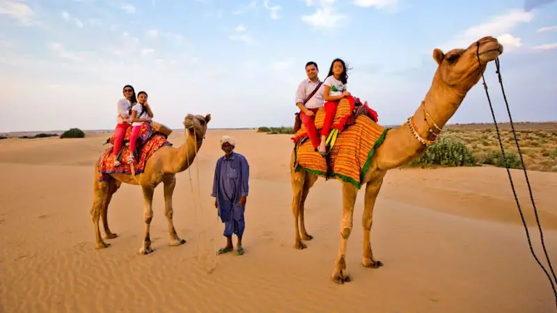 Tourists enjoying the camel safari in a desert, Thar Desert, Jaisalmer, Rajasthan, India