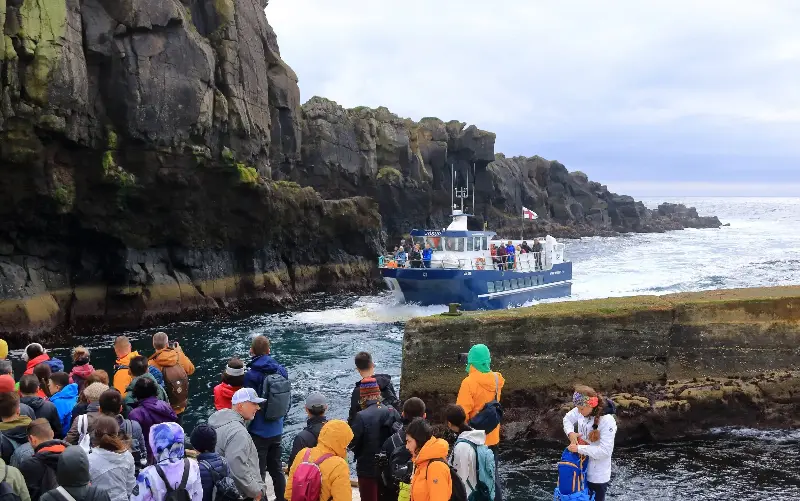 Mykines is a puffin paradise, especially in July - Dynamoland