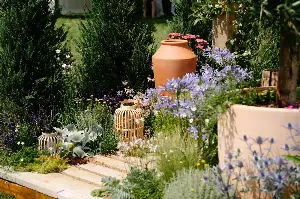 Are We Planting for the Wrong Climate? How UK Designers Are Reimagining Traditional British Gardens for 30°C Summers