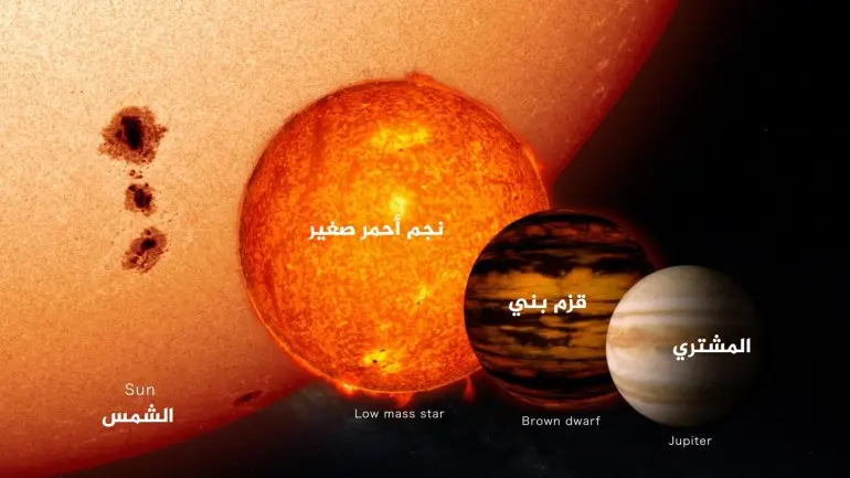 This artist's concept compares the size of a brown dwarf to that of Earth, Jupiter, a low-mass star, and the Sun. (Credit: NASA/JPL-Caltech/UCB).