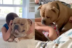 Mom Ignores Warnings Bully Dog Will Turn on Kids One Day—Then Comes Reality