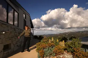 State approves ‘Zone Zero’ fire-safe landscaping rules, reshaping yards for millions of Californians