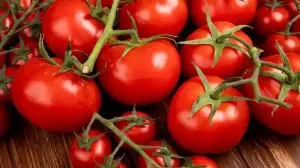 Tomato Storage Hacks To Keep Them Fresh And Juicy