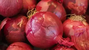 Eye on prices, India to reduce onion wastage third year in a row