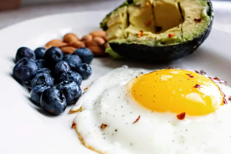 Protein is not just any other nutrient but a vital macronutrient for women.