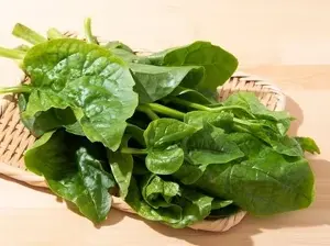 Malabar spinach is very nutritious but is considered "forbidden" for these people.