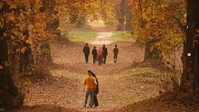 People walk through a park in fall
