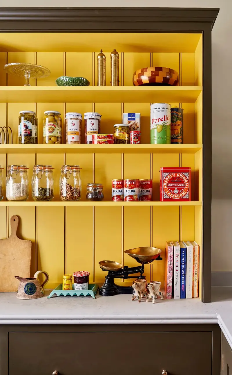 Lonika Chande says the green-brown in this kitchen cupboard’s exterior helps keep the yellow from being overwhelming - Milo Brown