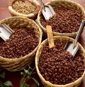 Coffee prices today, July 24th: Continue to fall after forecasts of record global supply.