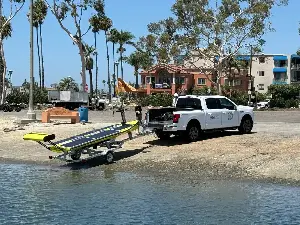 California scientists build robot to look for great white sharks near beaches