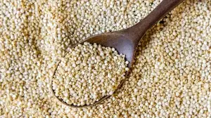 Kutki, Or Little Millet: Why This Grain Is Worth Rediscovering